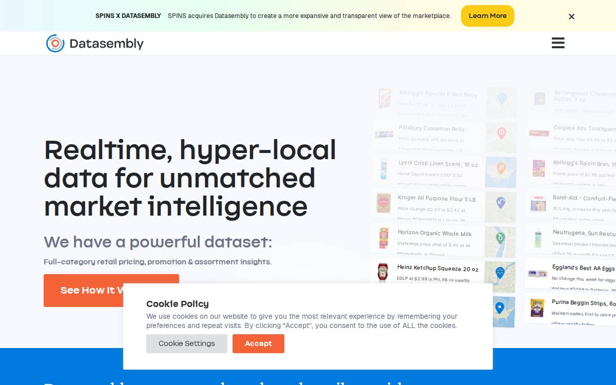Datasembly website preview