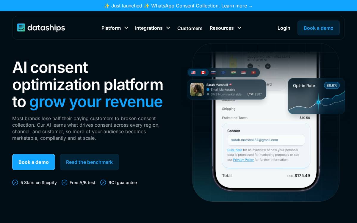 Dataships website preview