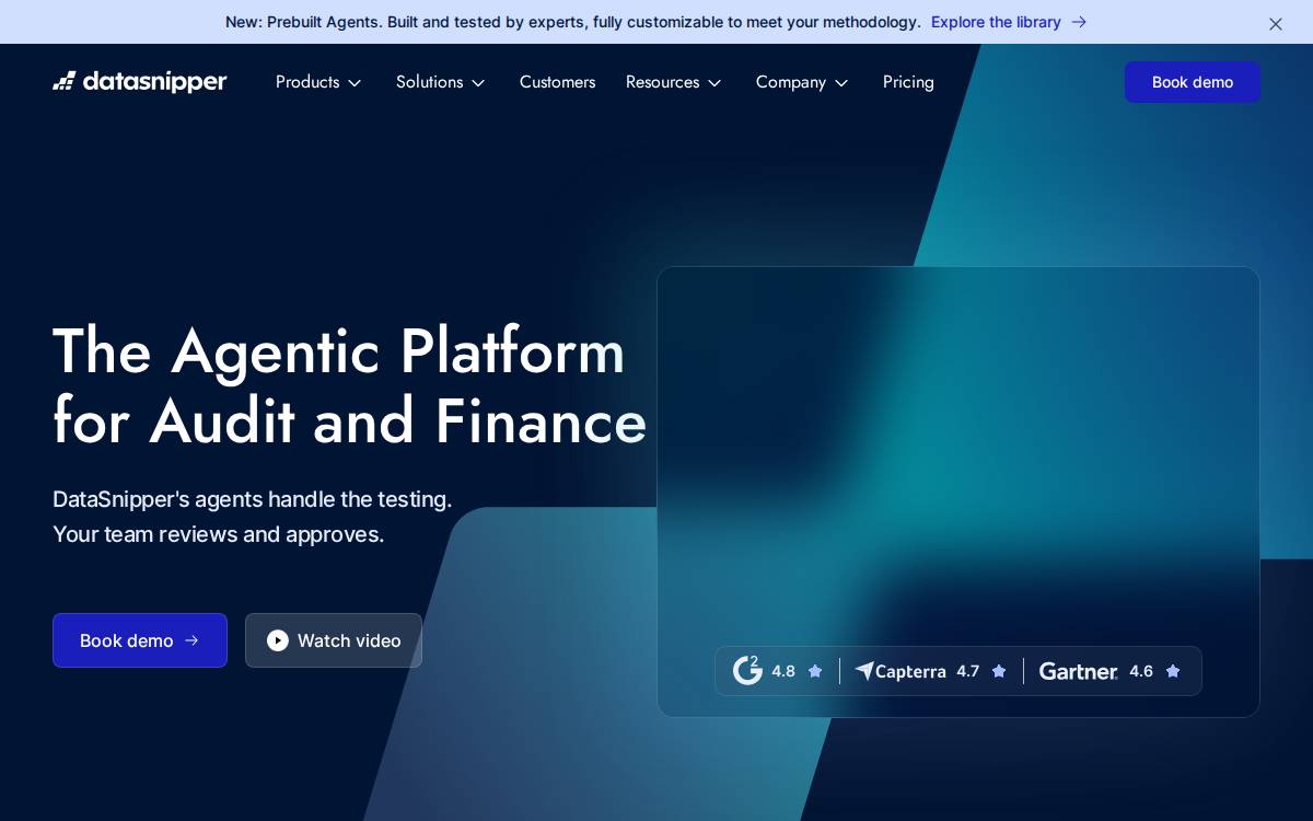 Datasnipper website preview