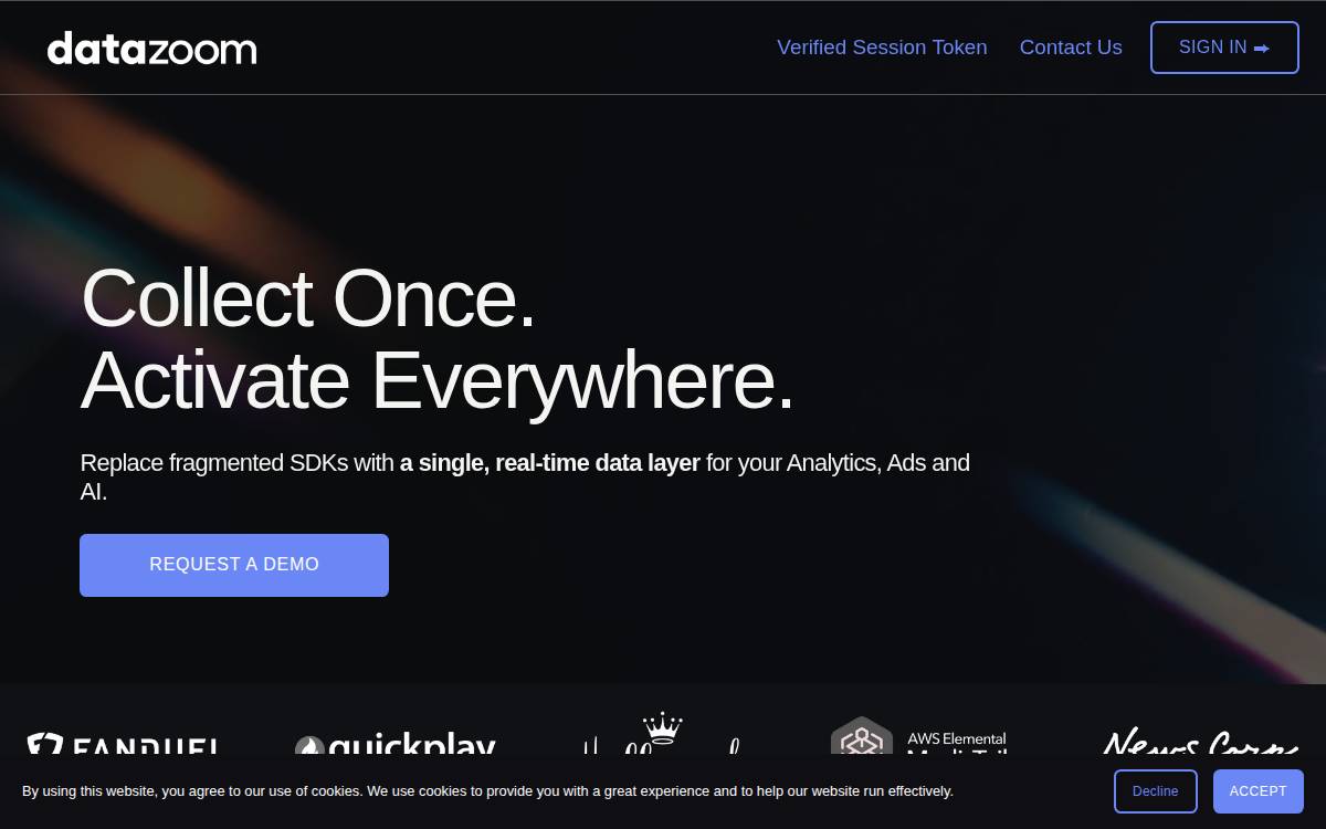 Datazoom website preview