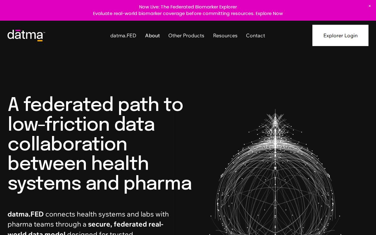 Datma website preview