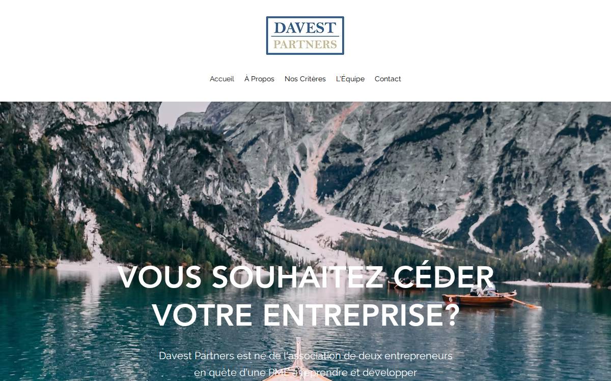 Davestpartners website preview