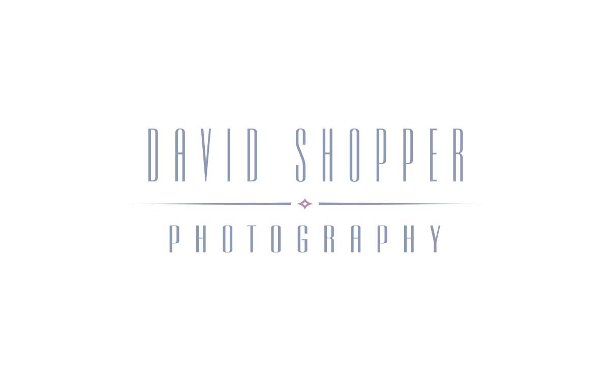 Davidshopper website preview