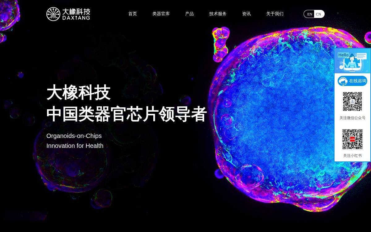 Daxiangbio website preview