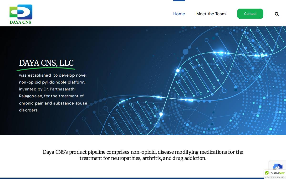 Daya CNS website preview