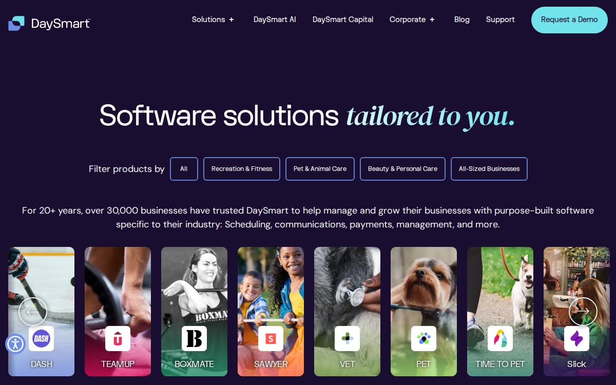 DaySmart website preview