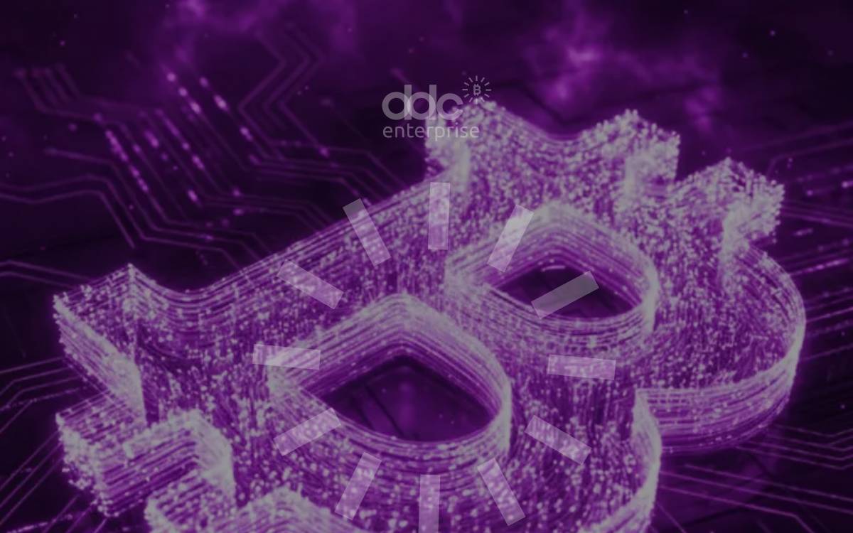DDC Enterprise website preview