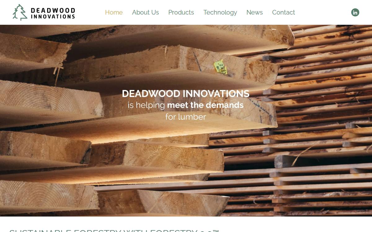 Deadwoodinnovations website preview