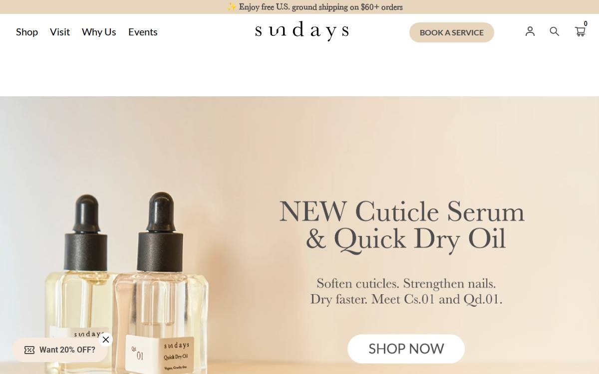 Dear Sundays website preview