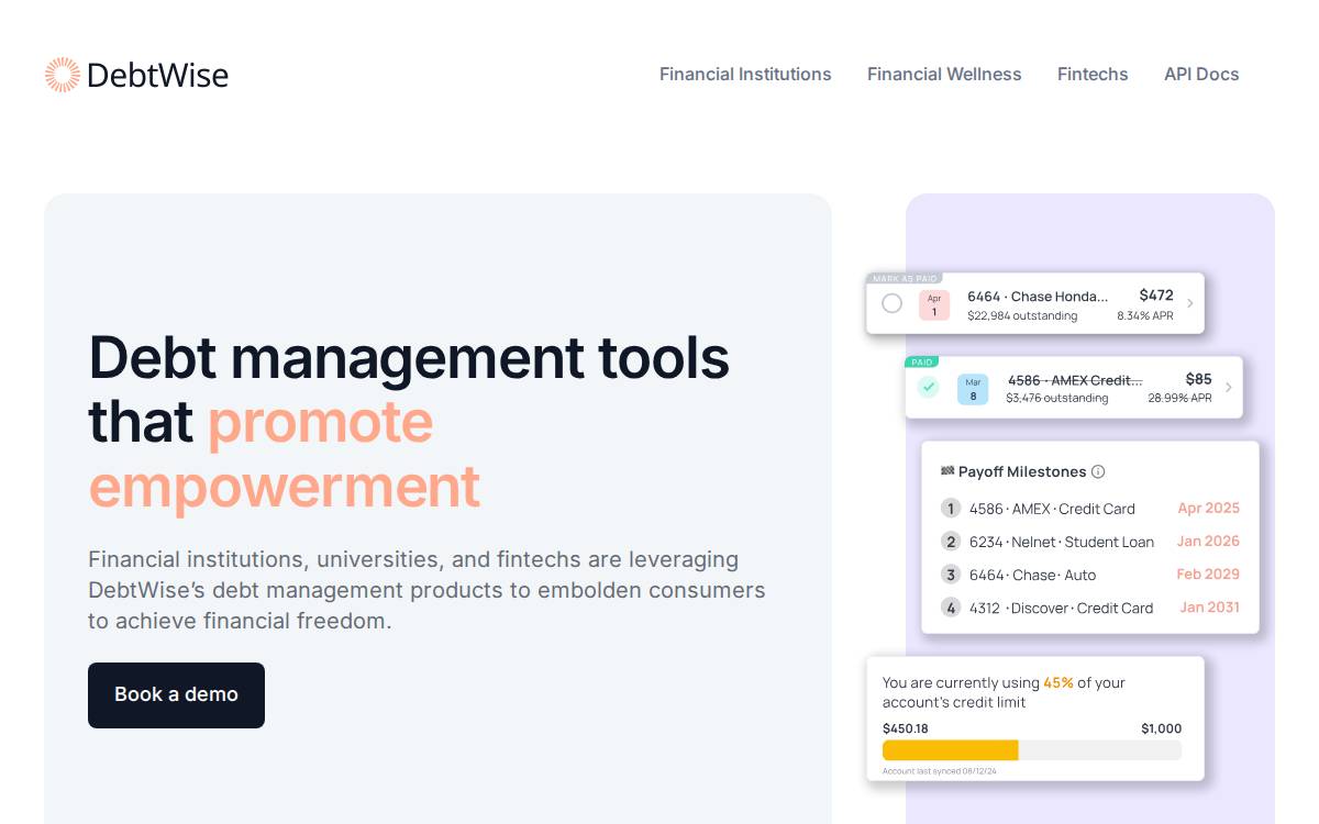 DebtWise website preview