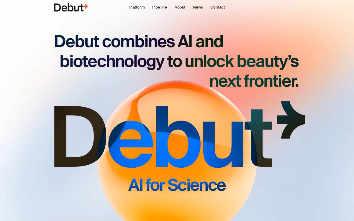 Debut website preview