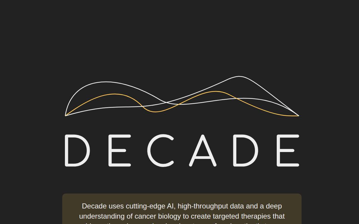 Decade website preview