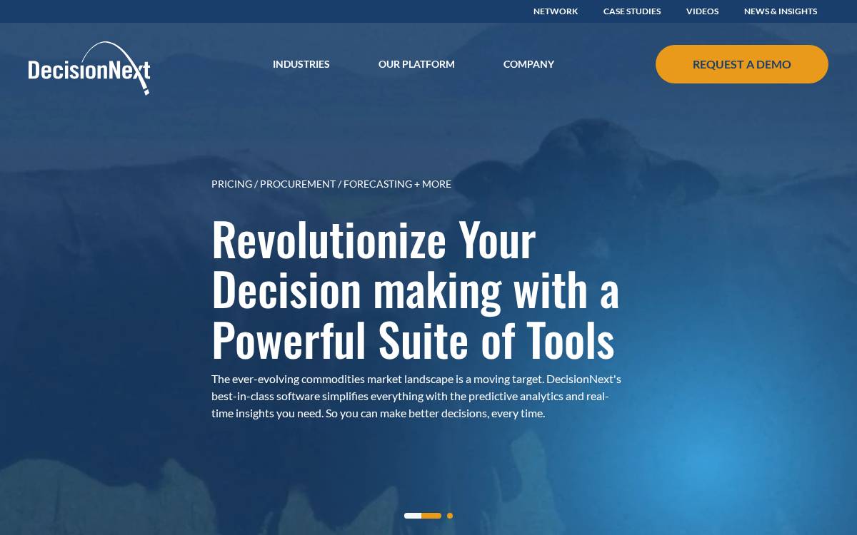 Decision Next website preview