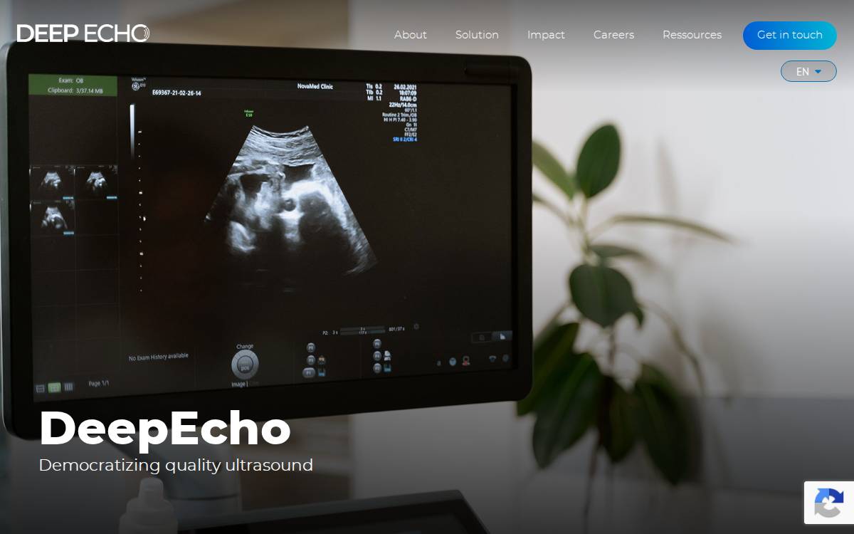 Deep Echo website preview