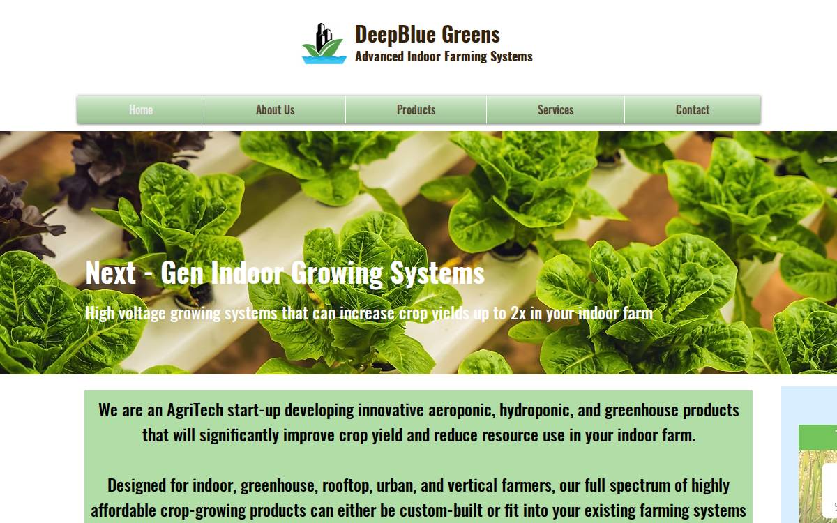 DeepBlueGreen website preview