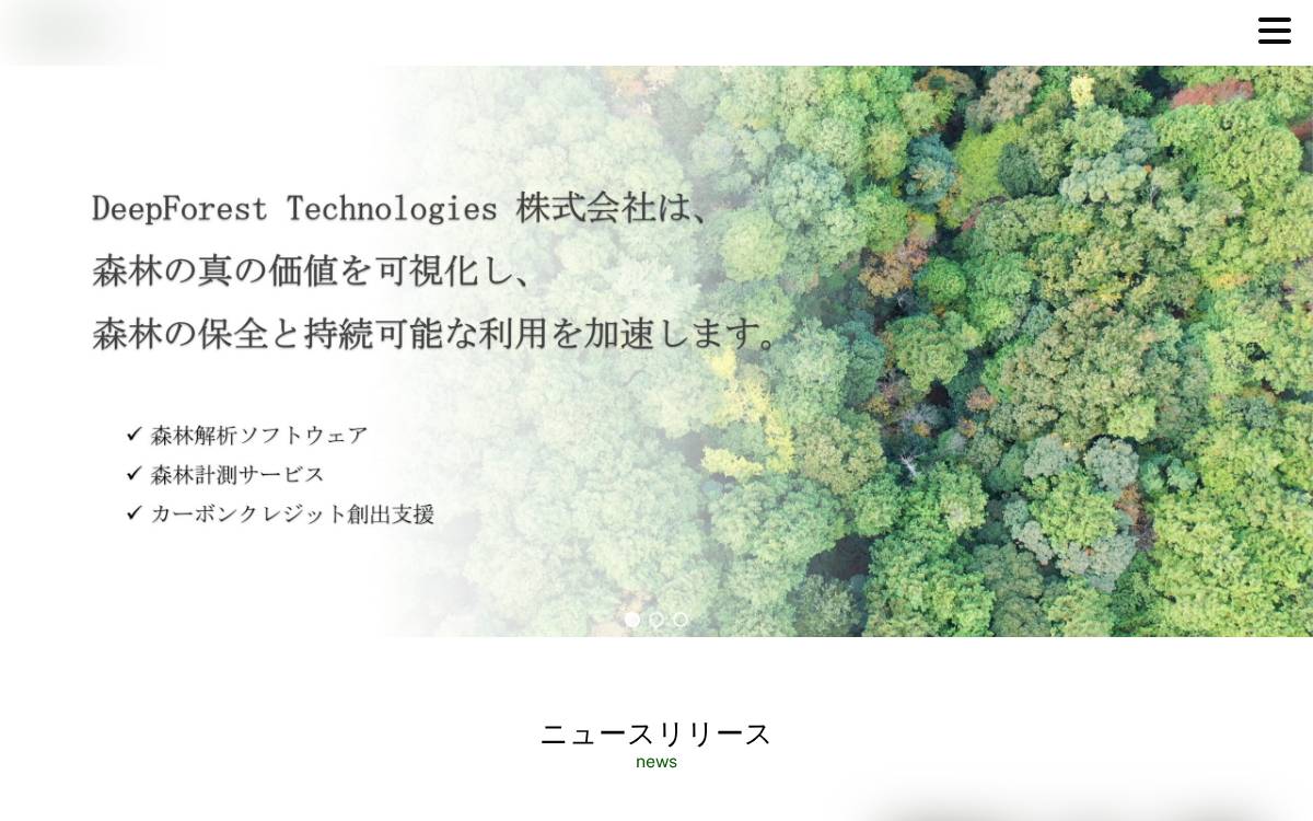 Deepforest Tech.Co website preview