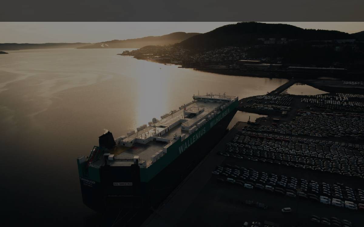 DeepSea website preview