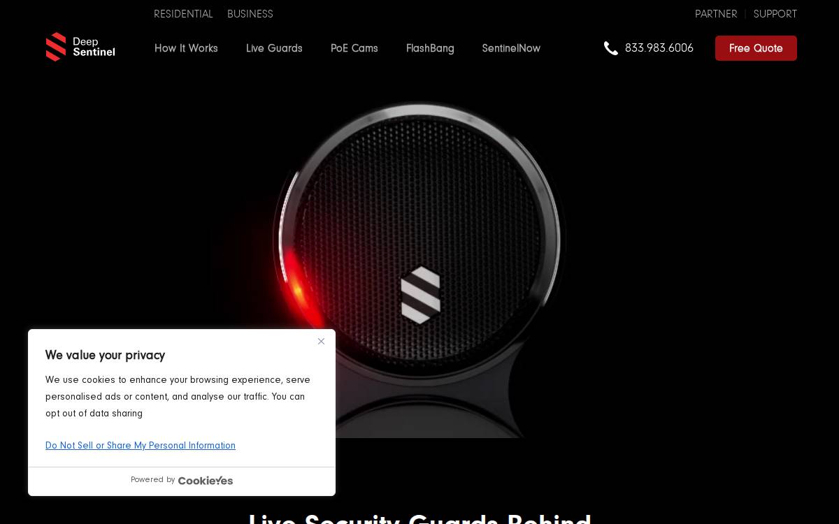 Deep Sentinel website preview
