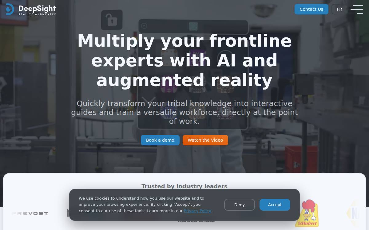 Deepsight website preview