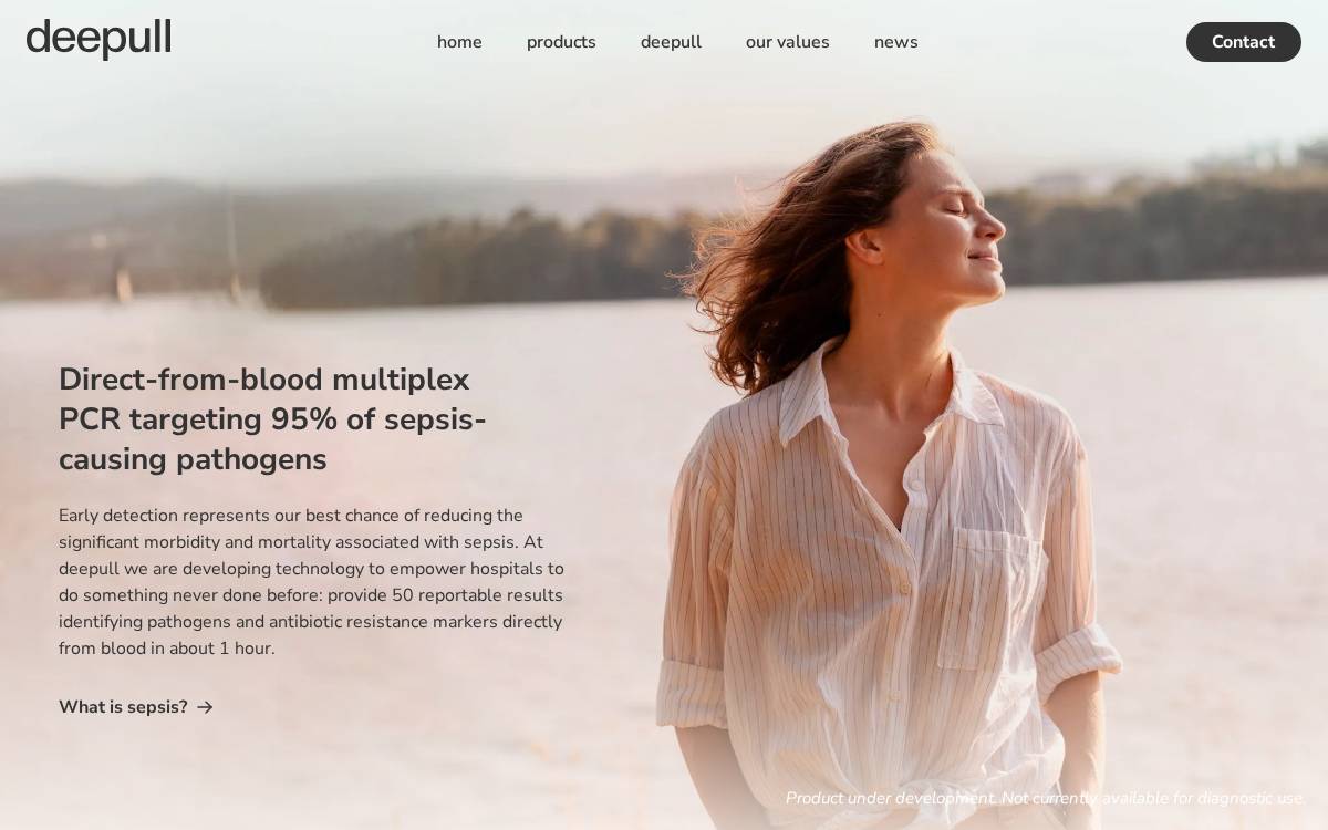 Deepull website preview