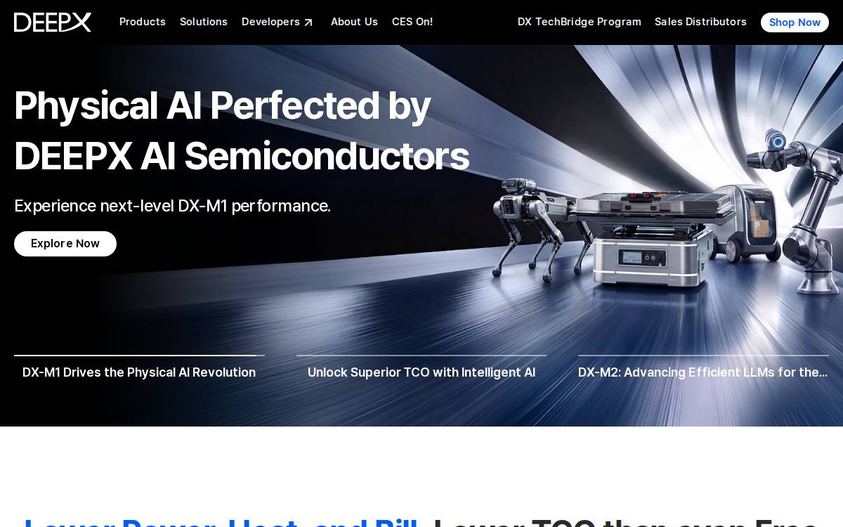 Deepx website preview