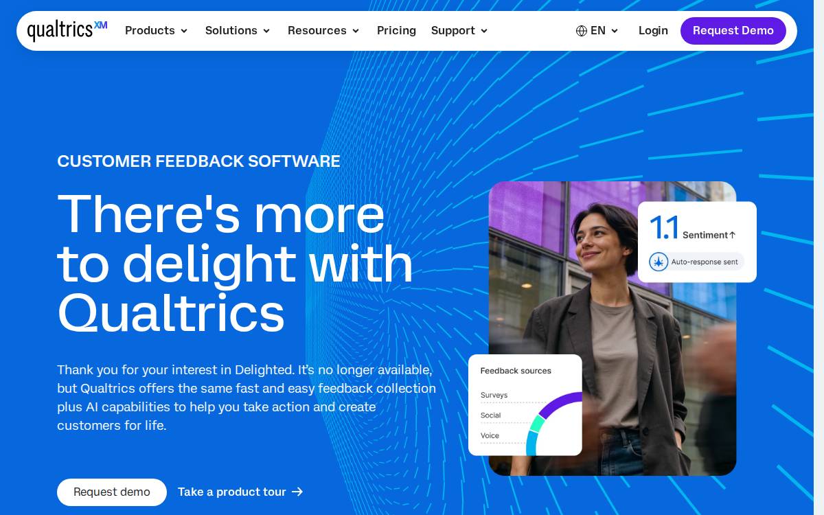 Delighted website preview