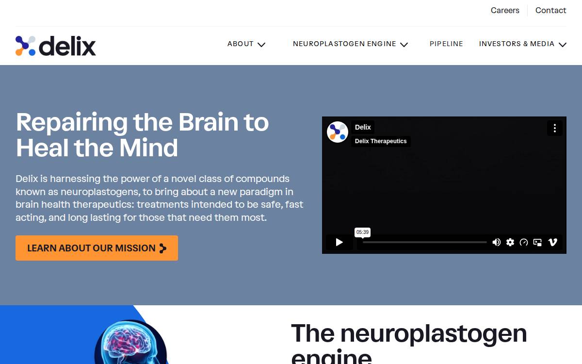 Delix website preview