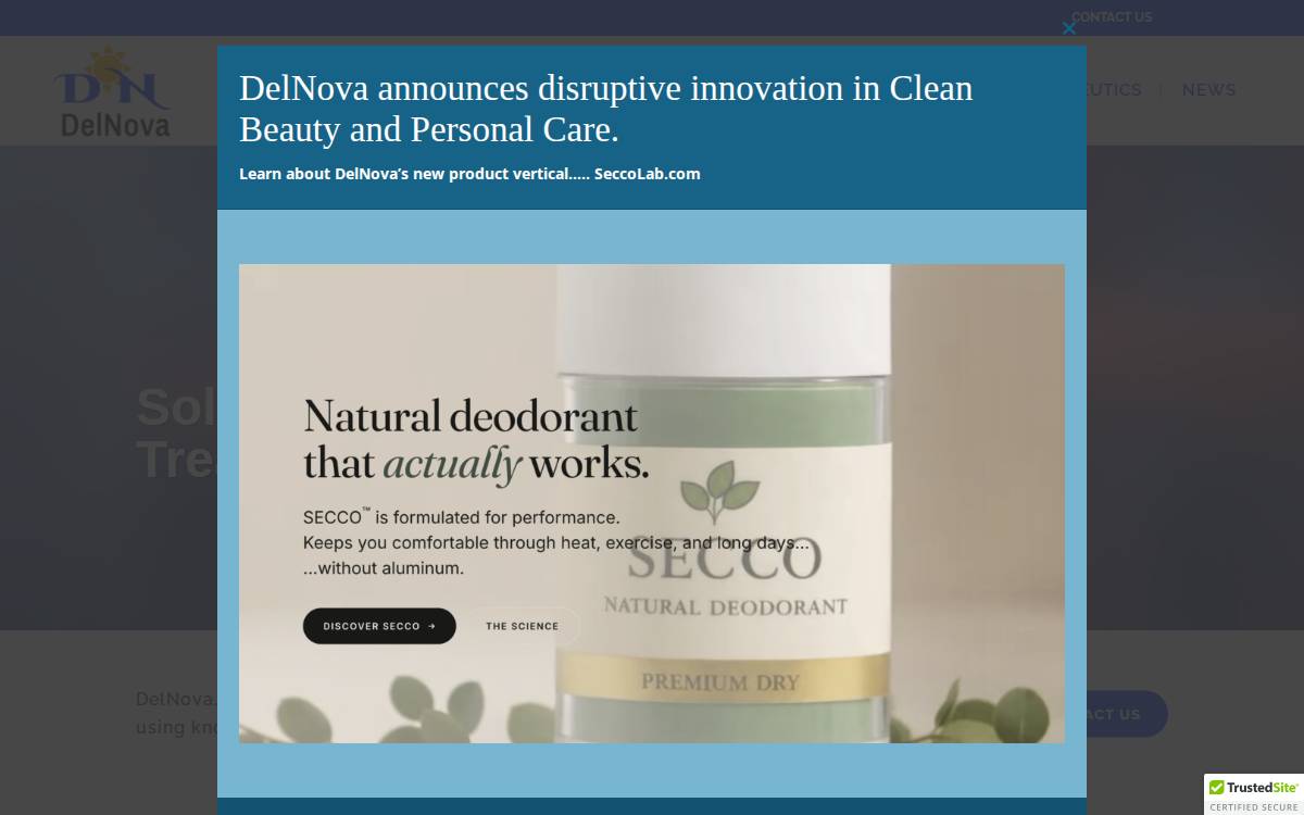 DelNova website preview