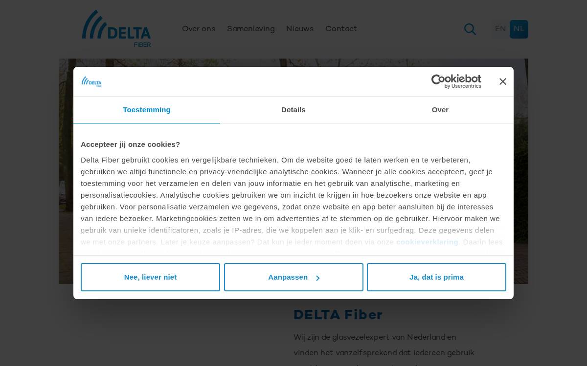 DELTA Fiber website preview