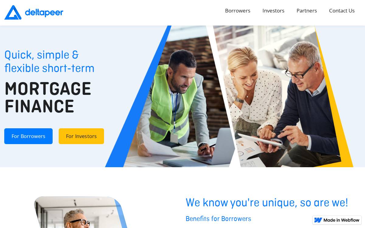 Deltapeer website preview