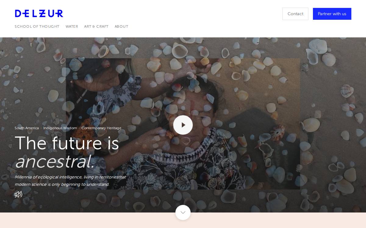 Delzur website preview