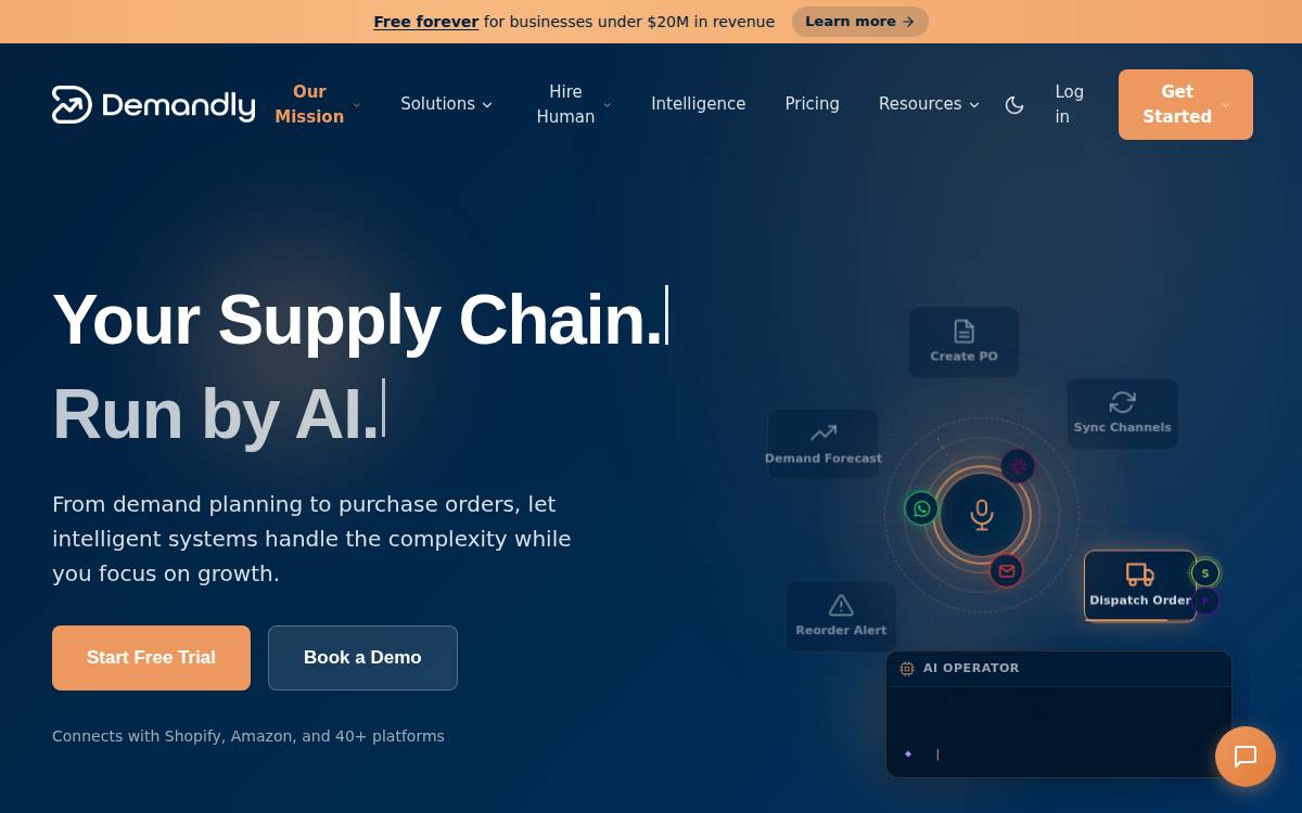 Demandly website preview