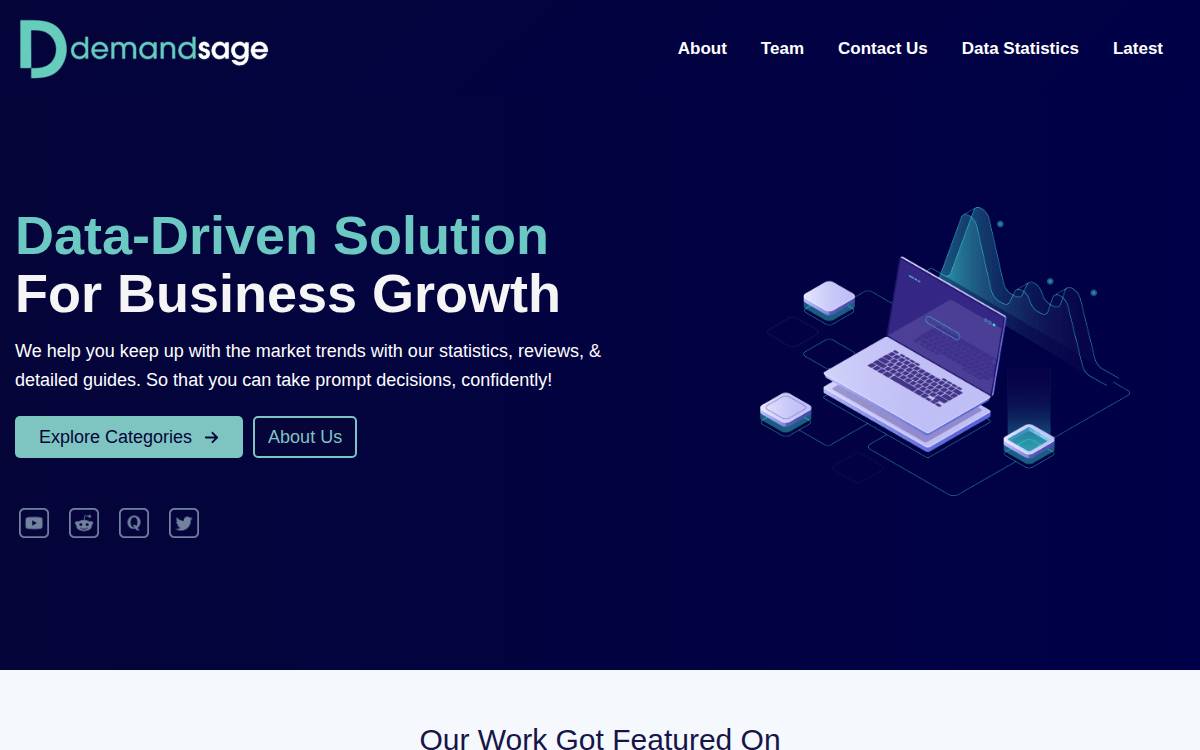 Demandsage website preview