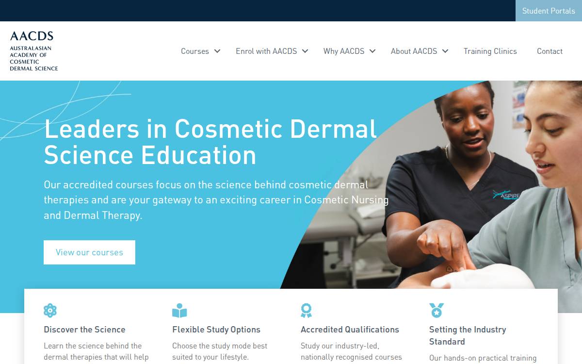 Demi Education Group website preview