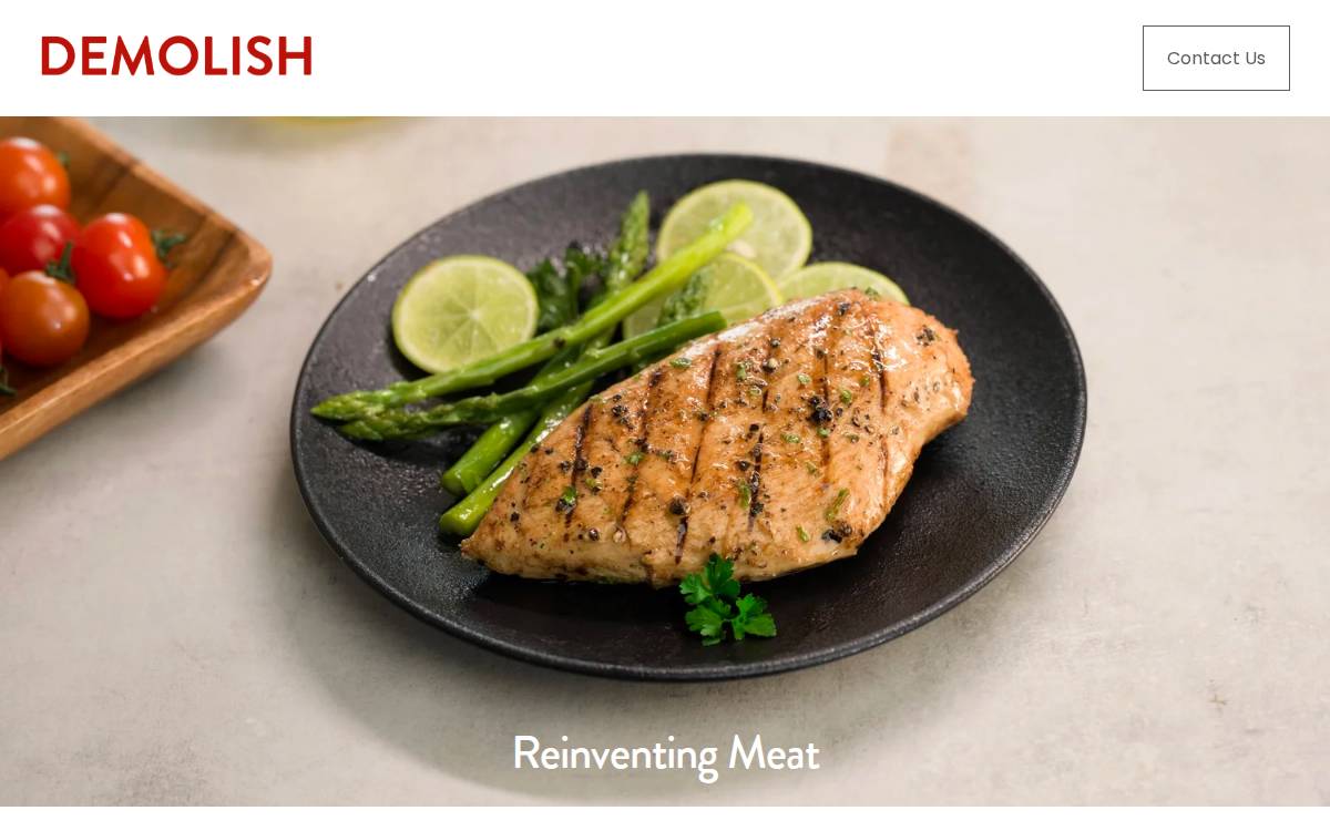 Demolishfoods website preview
