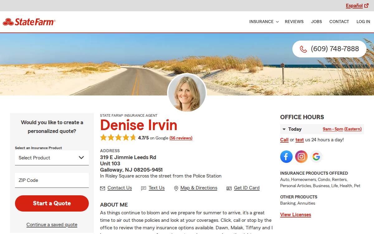 Deniseirvin website preview