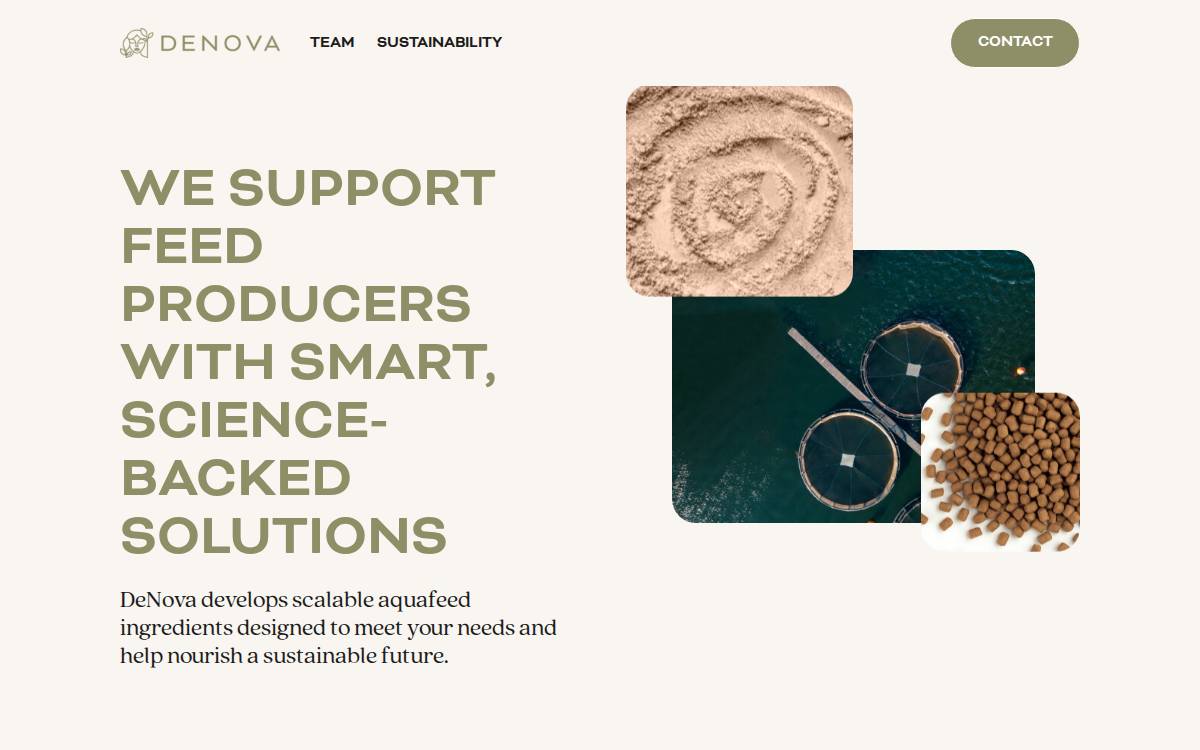 DeNova website preview