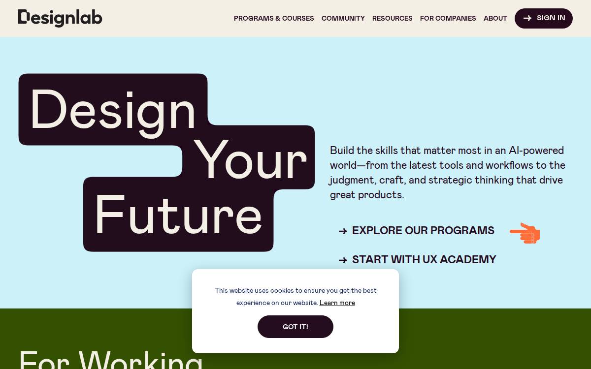 Designlab website preview