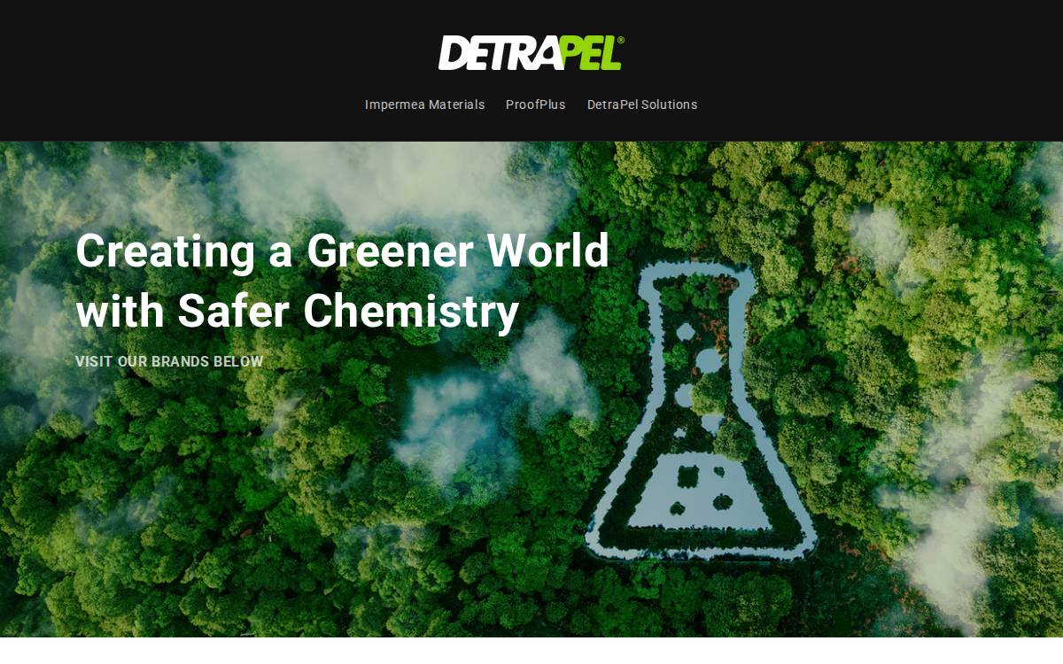 DetraPel website preview