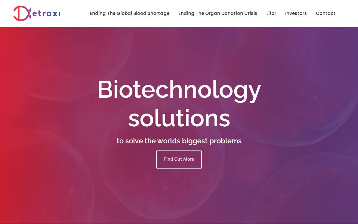 Detraxi website preview
