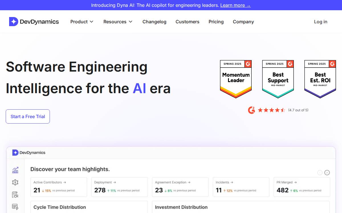 DevDynamics website preview