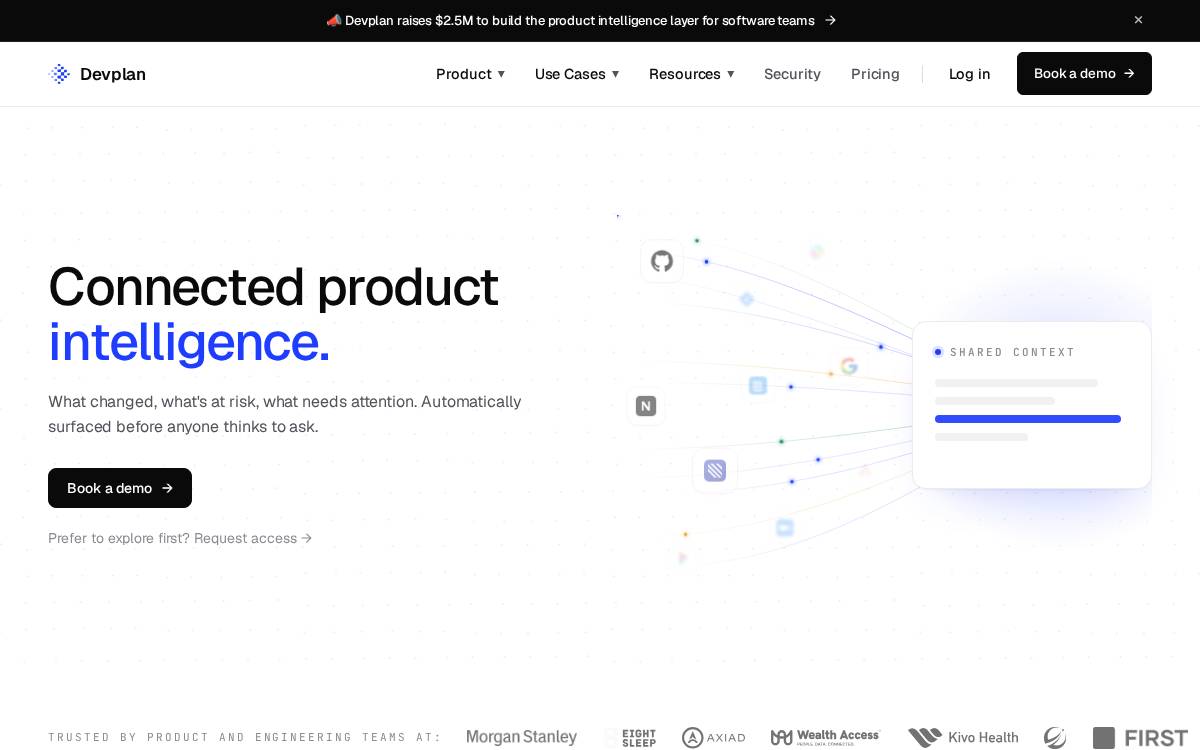 Devplan website preview