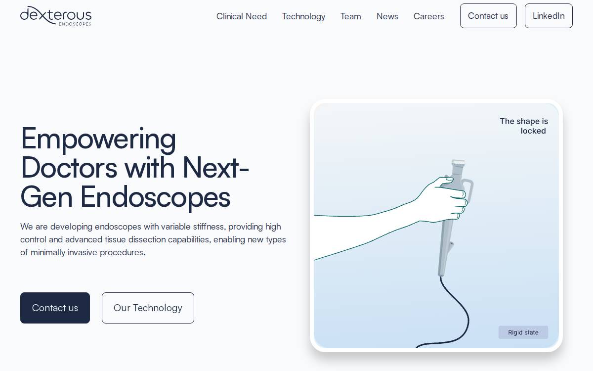 Dexterous Endoscopes website preview