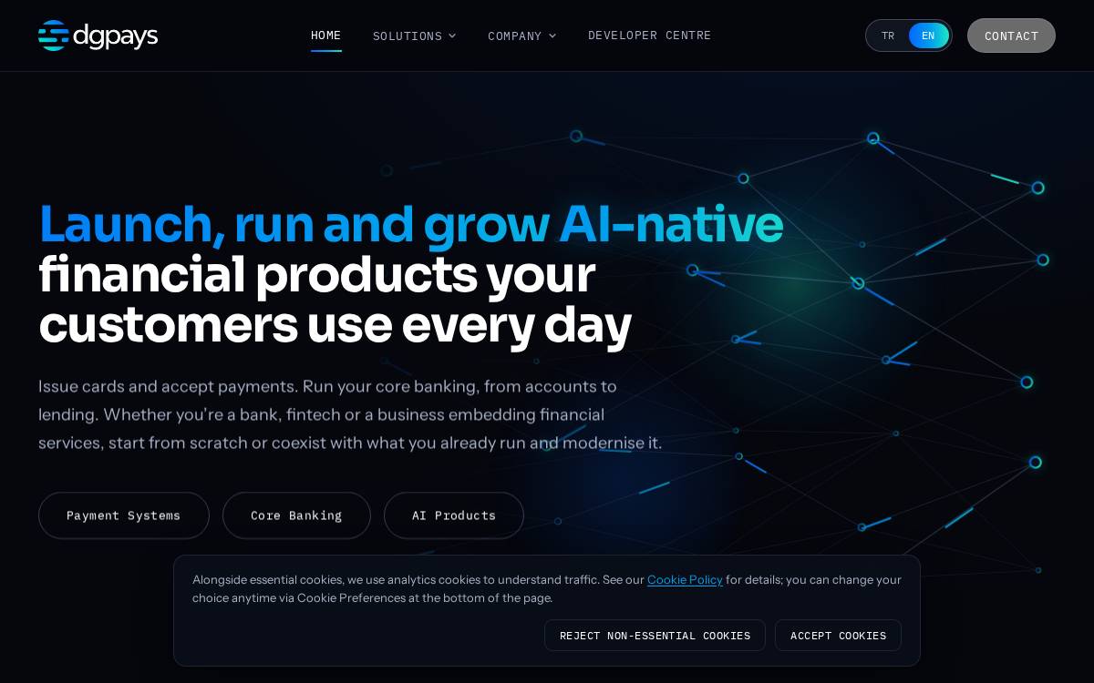 Dgpays website preview