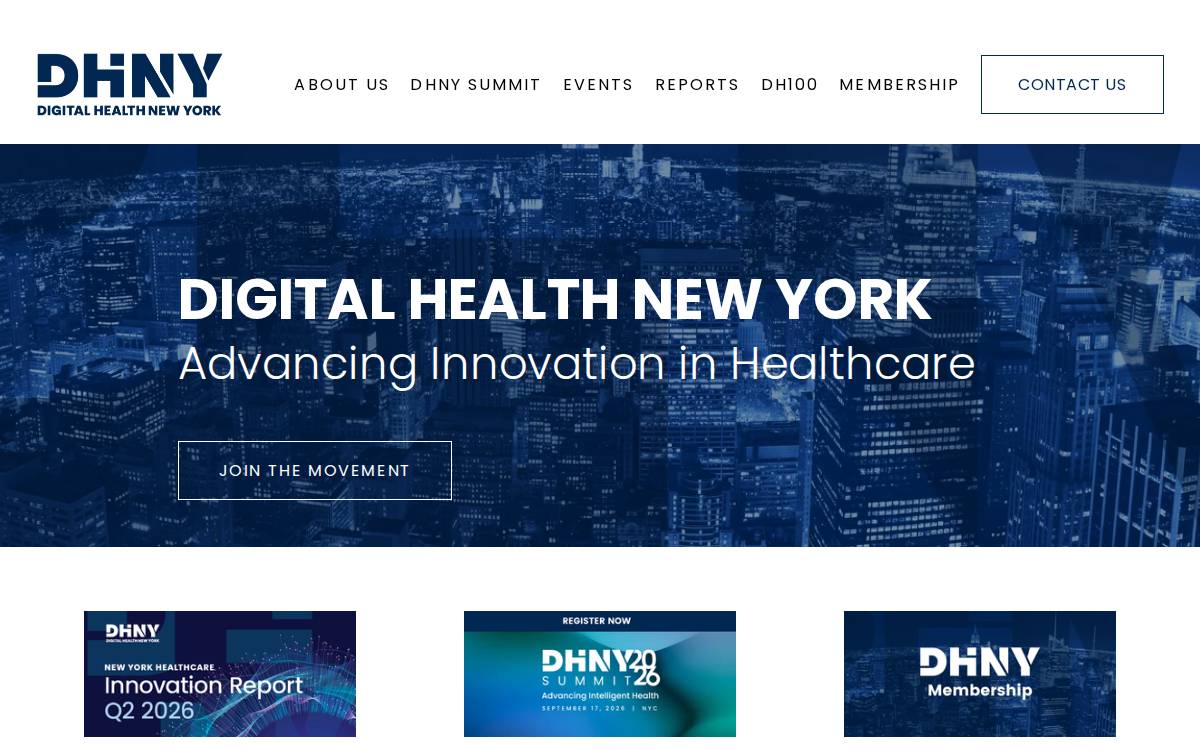 Dhny website preview