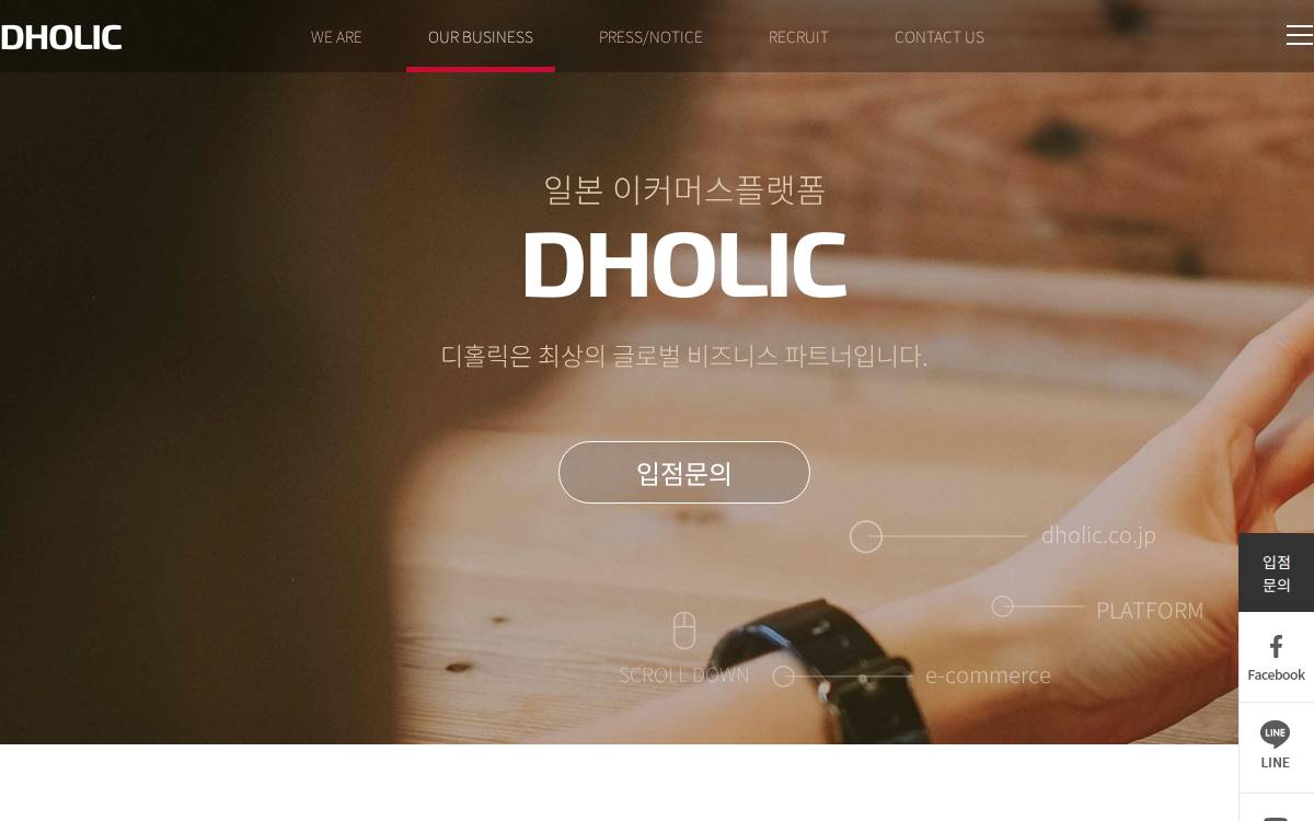 Dholic website preview