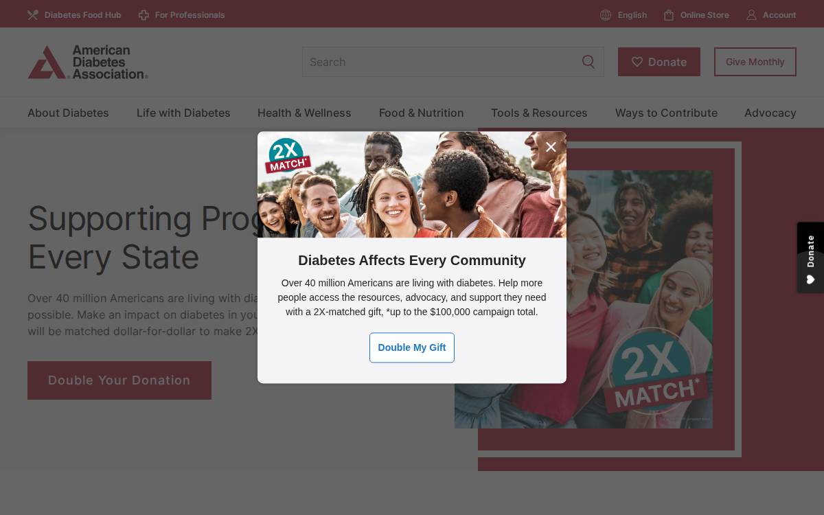 Diabetes website preview