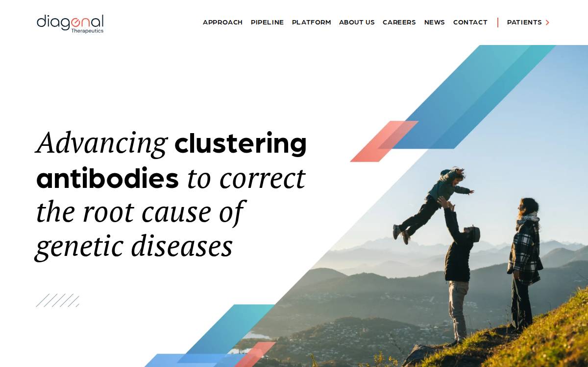 Diagonaltx website preview