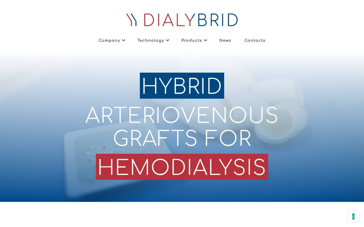 Dialybrid website preview