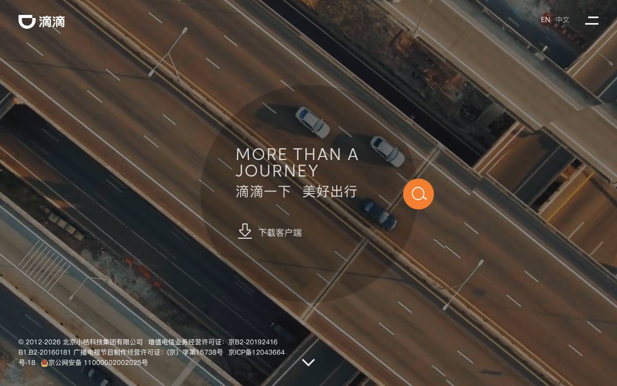 Didi website preview